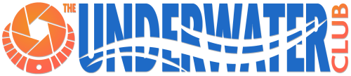 Guest Blogs about Deep Blue 2