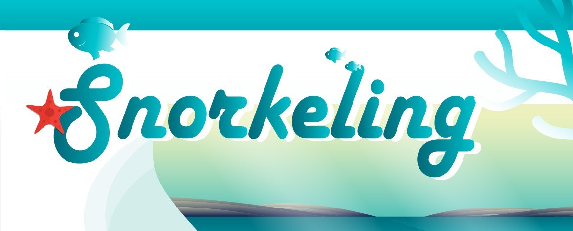 Snorkeling Guide