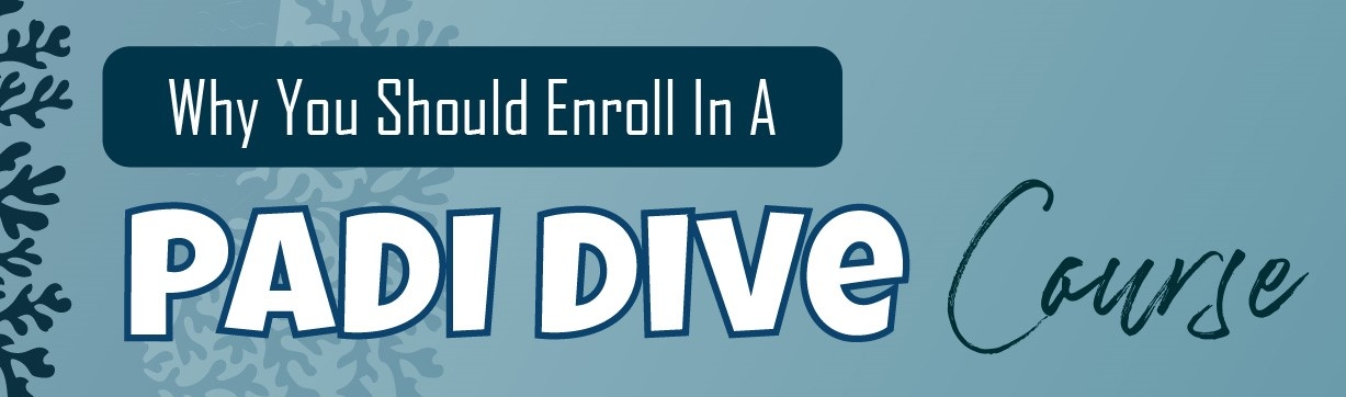padi dive course
