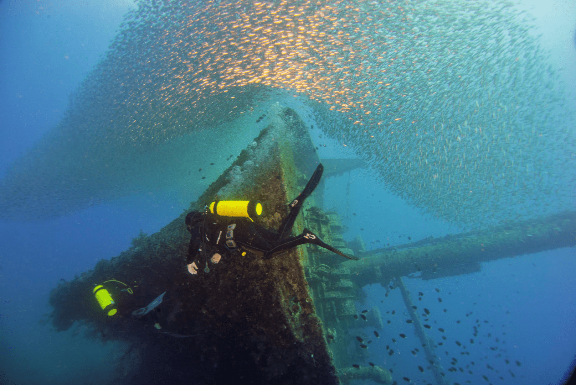 PADI-open-water-diver