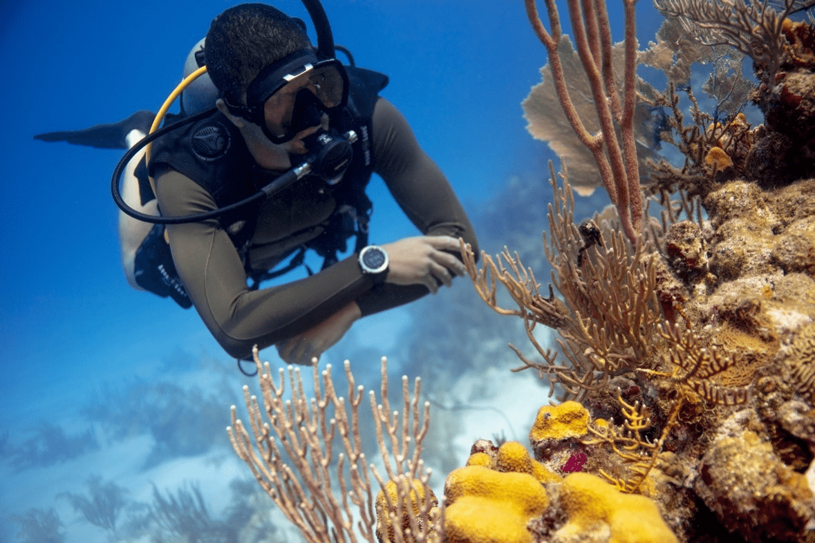 A person scuba diving near a coral reef