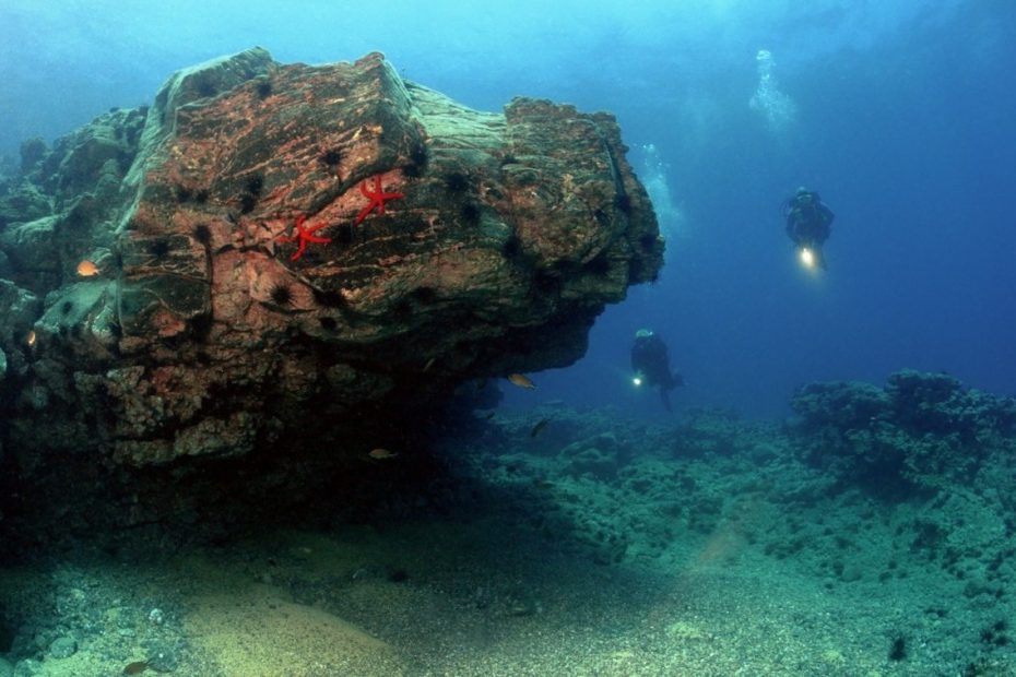 Discovering Underwater Wonders with Deep Blue Dive Centre when diving in Aqaba