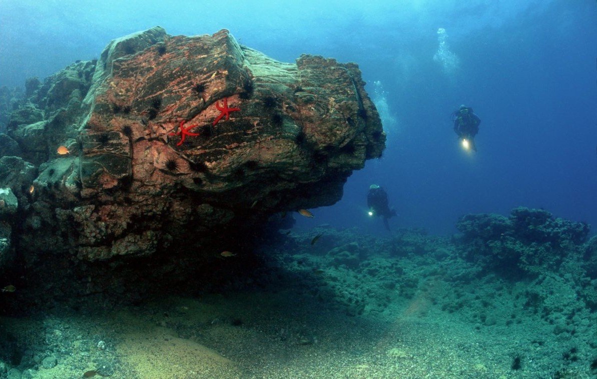 Discovering Underwater Wonders with Deep Blue Dive Centre when diving in Aqaba