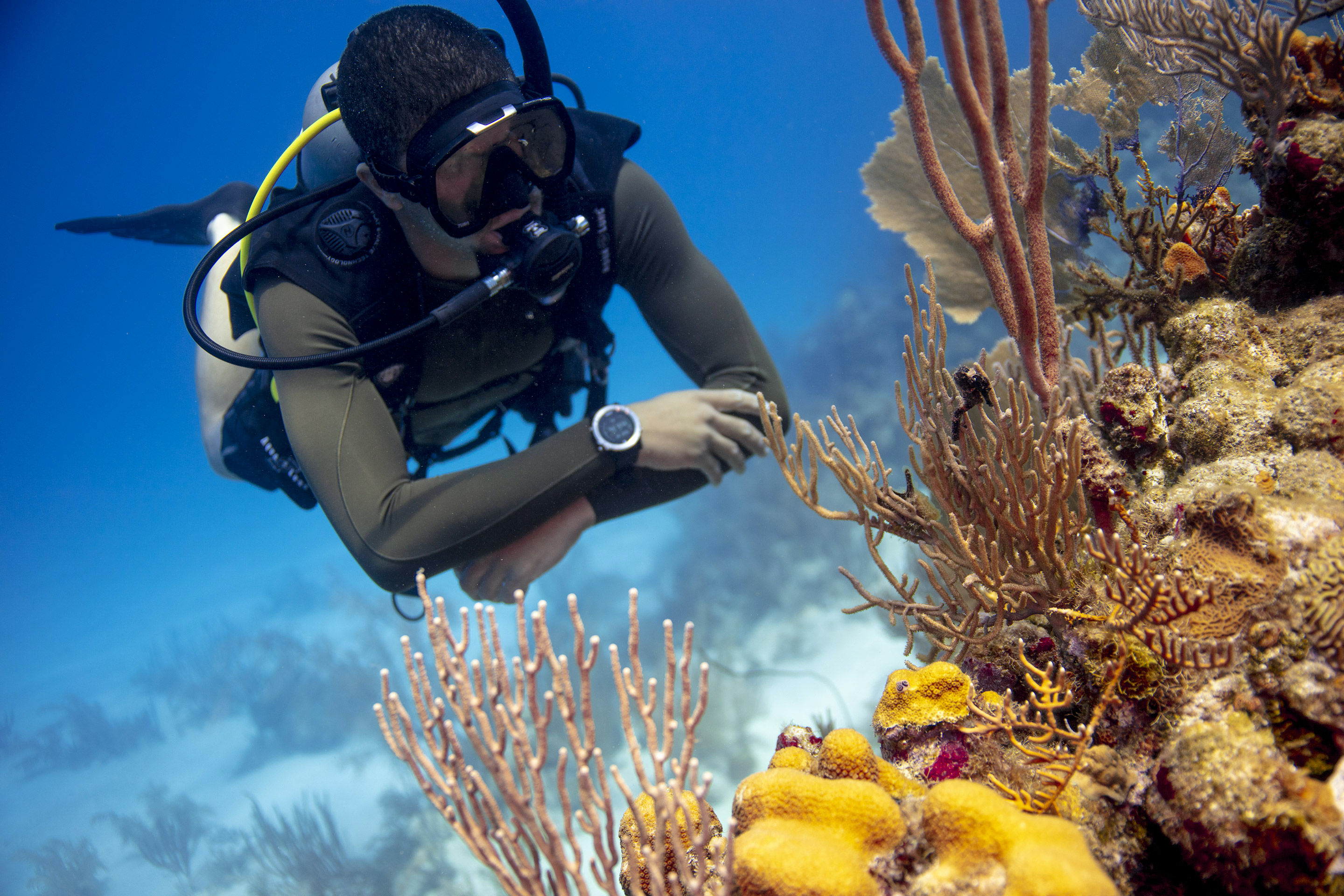 a scuba diver