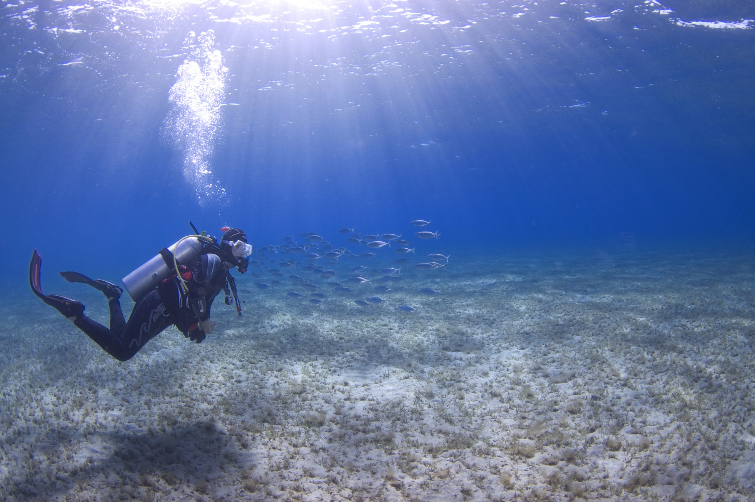 scuba diving