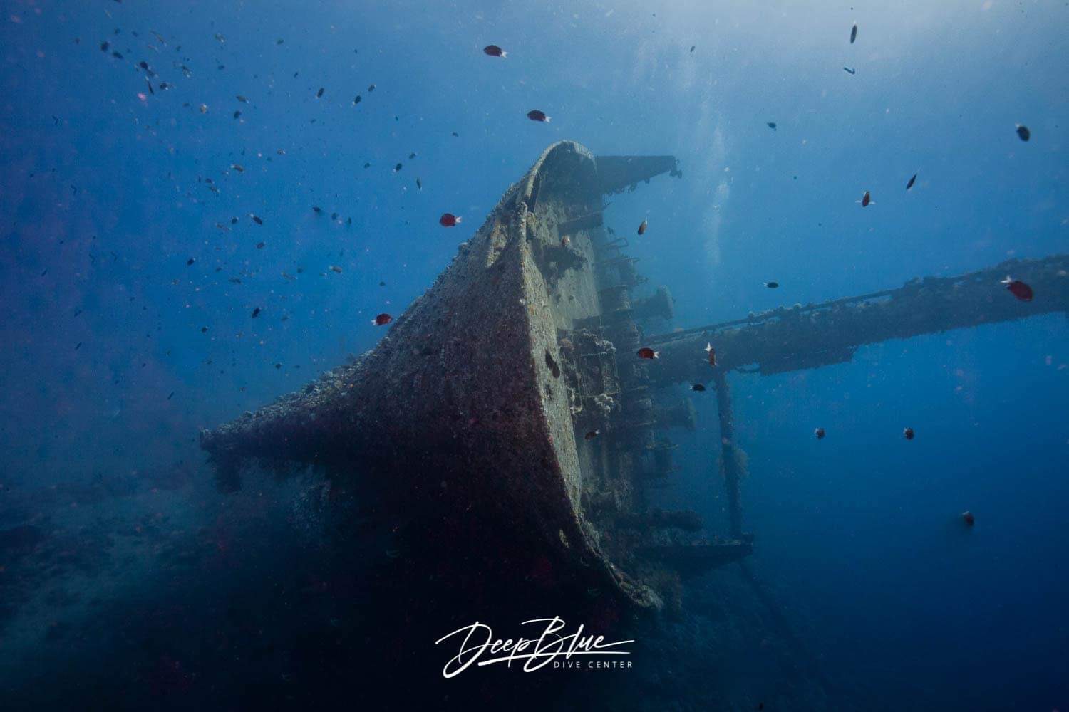 Calling all amateur wreck photographers! 1