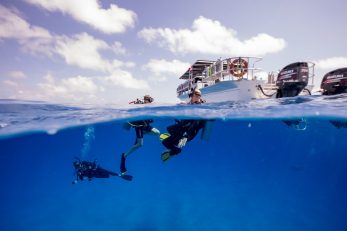 diving