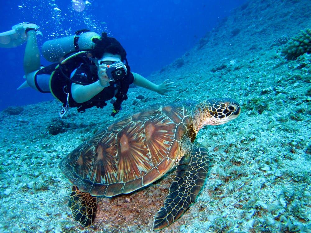 dive travel