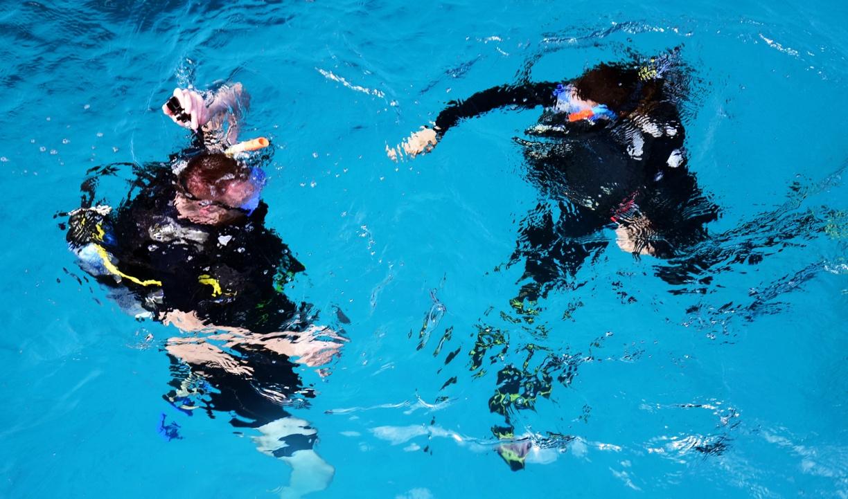 PADI dive courses