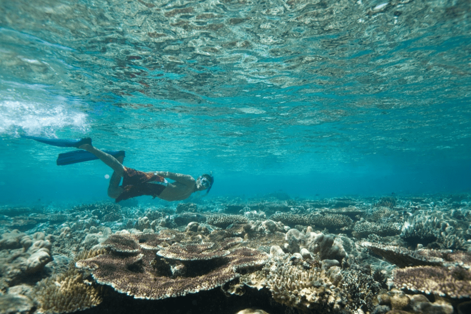 a person diving over reefs