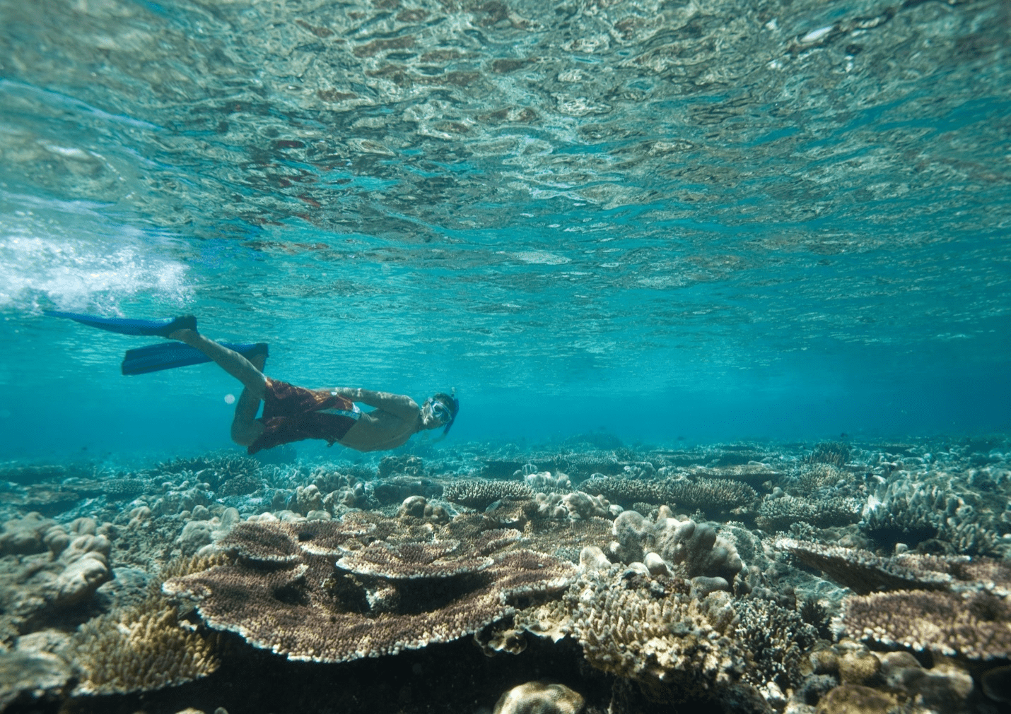 a person diving over reefs